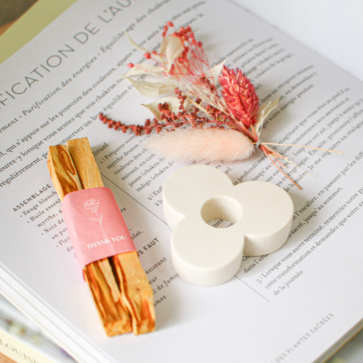 3-IMG_4056_1200x1200.jpg?v=