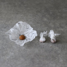 画像をギャラリービューアに読み込む, Positive Energy Palo Santo Chips & Incense Drops -Wood & Sage