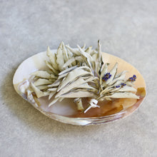 画像をギャラリービューアに読み込む, Deep Cleanse White Sage set