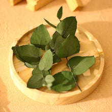 画像をギャラリービューアに読み込む, 【お香立て付き】Positive Energy Palo Santo Incense Sticks -Eucalyptus