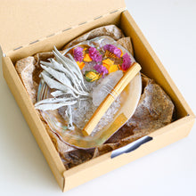 画像をギャラリービューアに読み込む, Deep Cleanse Aurora Pink Shell Plate set