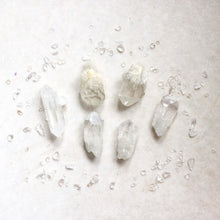 画像をギャラリービューアに読み込む, Deep Cleanse Aurora Pink Shell Plate set