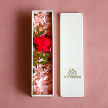 画像をギャラリービューアに読み込む, Flower Coffret - Carnation