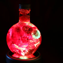 画像をギャラリービューアに読み込む, FLOWERiUM rainbow LED light <round type>