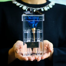 画像をギャラリービューアに読み込む, Crystal rose Box Classic <blue>.