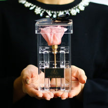 画像をギャラリービューアに読み込む, Crystal rose Box Classic <pink>.