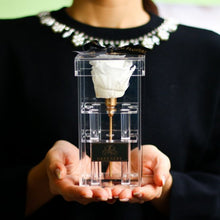 画像をギャラリービューアに読み込む, Crystal rose Box Classic <white>.