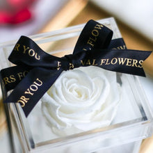 画像をギャラリービューアに読み込む, Crystal rose Box Classic <white>.