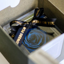 画像をギャラリービューアに読み込む, Crystal rose Box Classic petal <blue>.