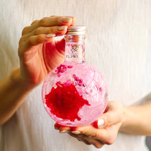 画像をギャラリービューアに読み込む, FLOWERiUM カーネーション parfum