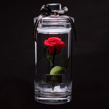 画像をギャラリービューアに読み込む, Crystal rose Box Glorious