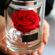 画像をギャラリービューアに読み込む, Crystal rose Box Glorious petal