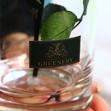 画像をギャラリービューアに読み込む, Crystal rose Box Glorious