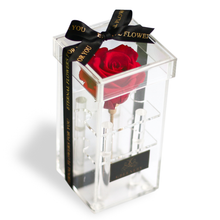 画像をギャラリービューアに読み込む, Crystal rose Box Classic <red>.