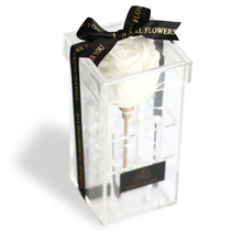 画像をギャラリービューアに読み込む, Crystal rose Box Classic <white>.