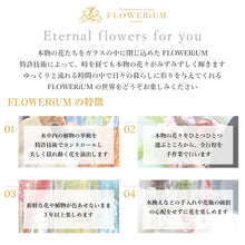 画像をギャラリービューアに読み込む, FLOWERiUM drop <blue>