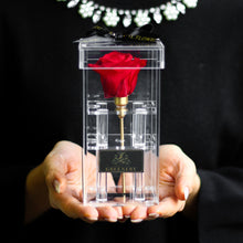 画像をギャラリービューアに読み込む, Crystal rose Box Classic <red>.