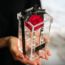 画像をギャラリービューアに読み込む, Crystal rose Box Classic <red>.