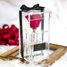 画像をギャラリービューアに読み込む, Crystal rose Box Classic <red>.