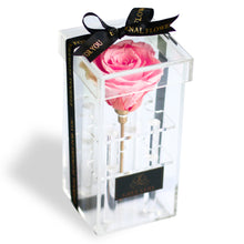 画像をギャラリービューアに読み込む, Crystal rose Box Classic <pink>