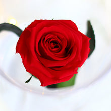 画像をギャラリービューアに読み込む, Crystal rose Box Glorious