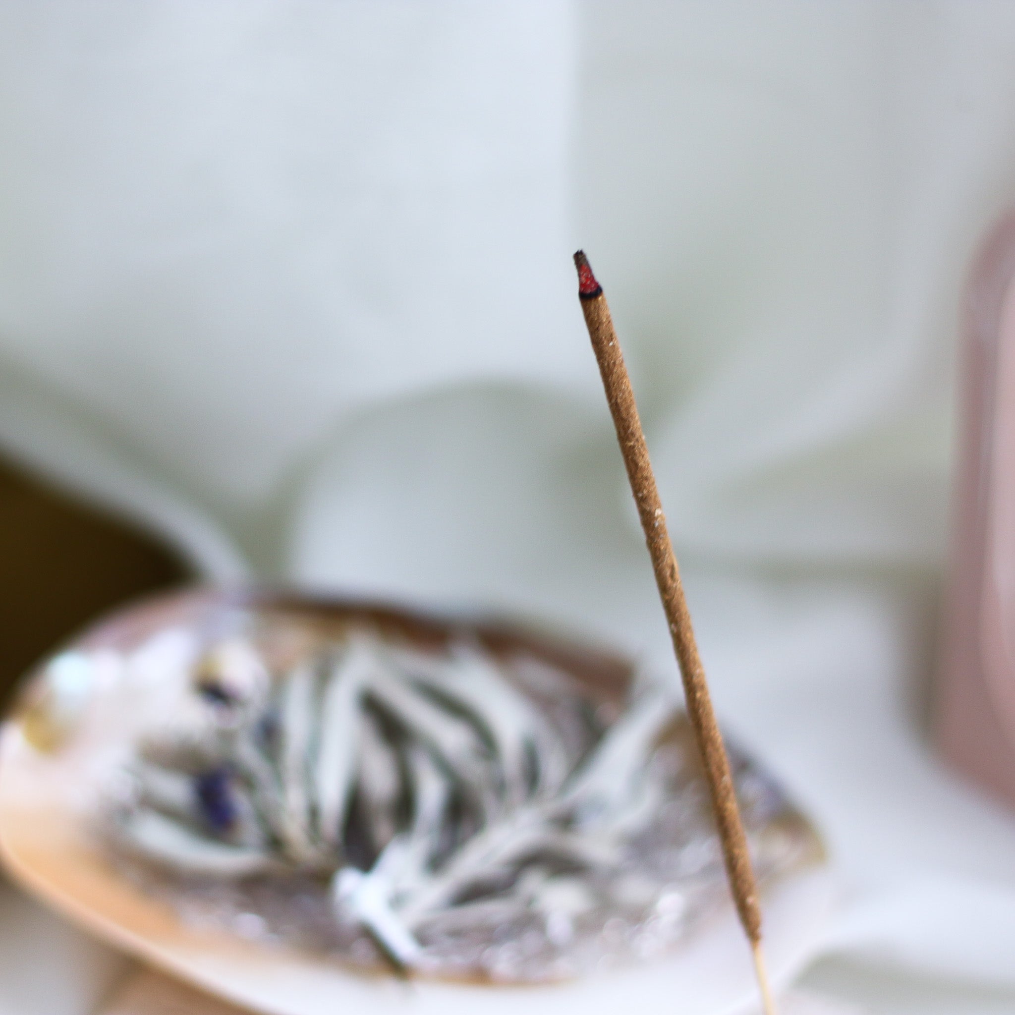 【公式オンライン限定】Deep Cleanse White Sage Incense Sticks