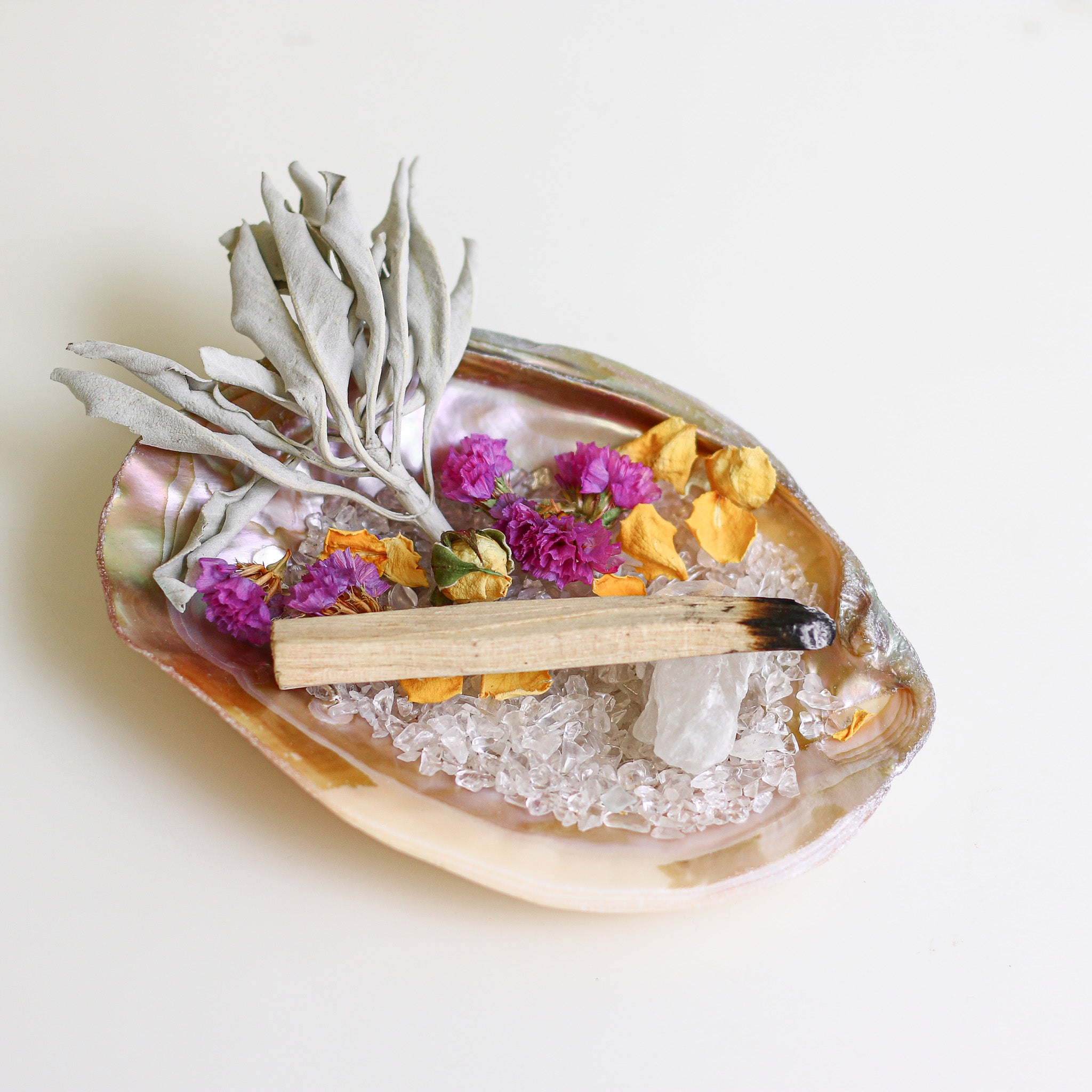 Deep Cleanse Aurora Pink Shell Plate set