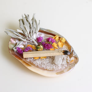 Deep Cleanse Aurora Pink Shell Plate set