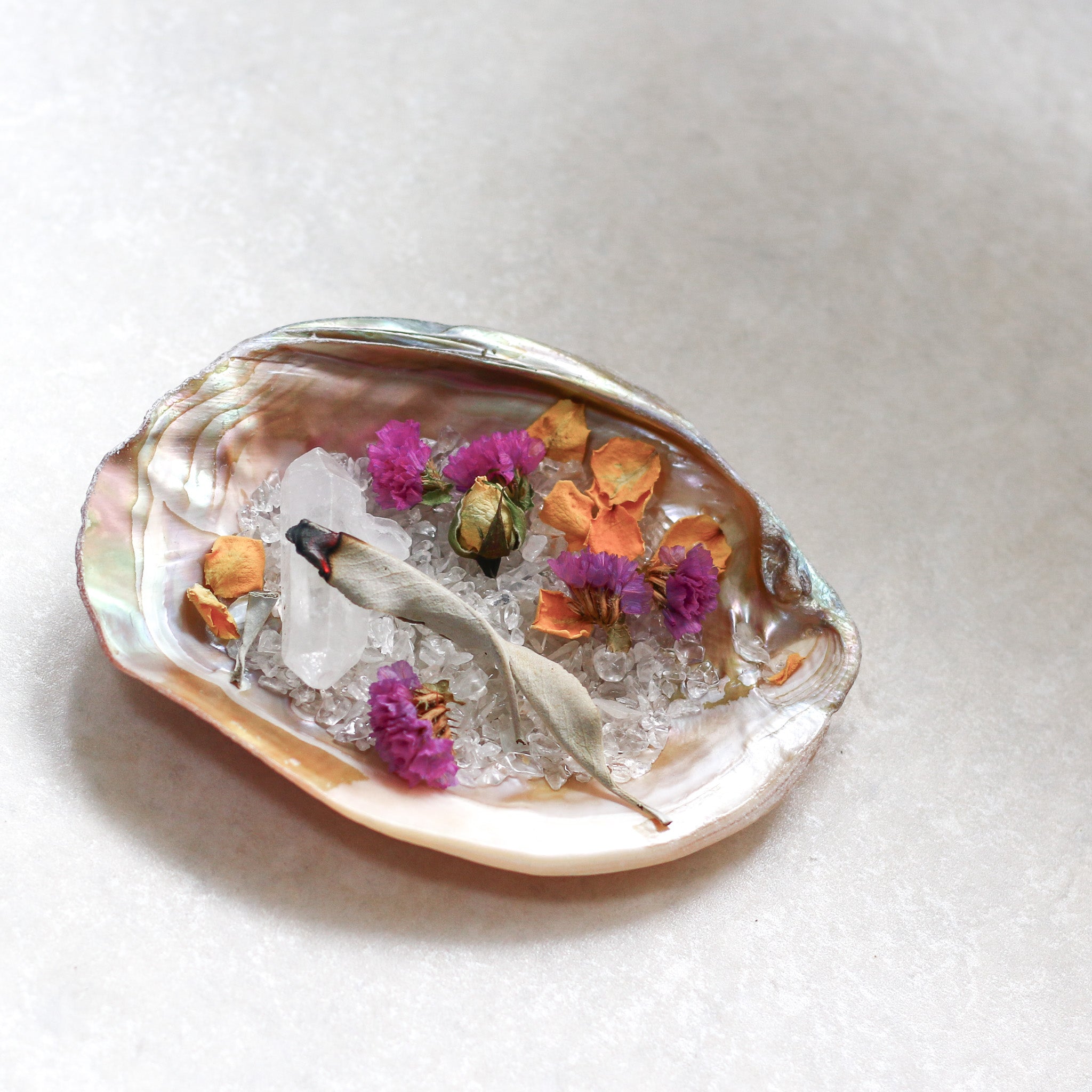 Deep Cleanse Aurora Pink Shell Plate set