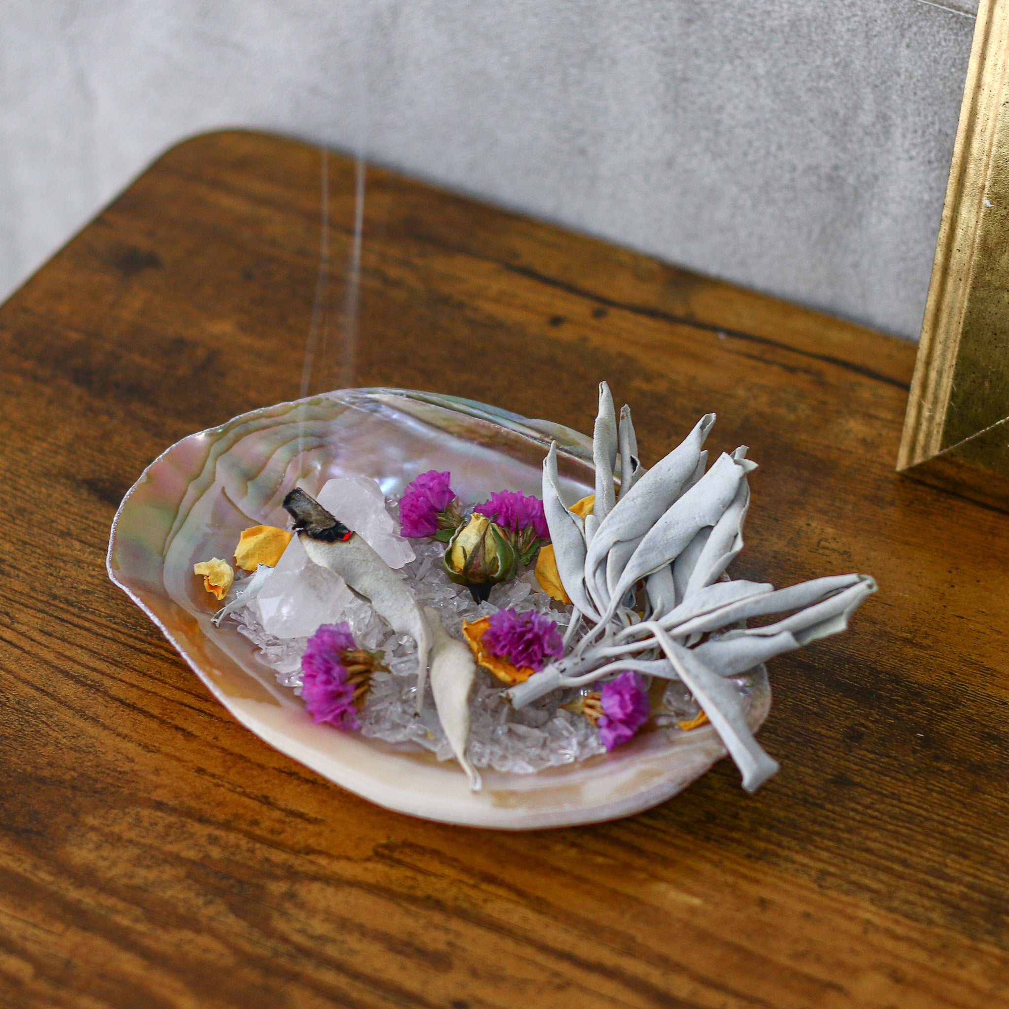 Deep Cleanse Aurora Pink Shell Plate set