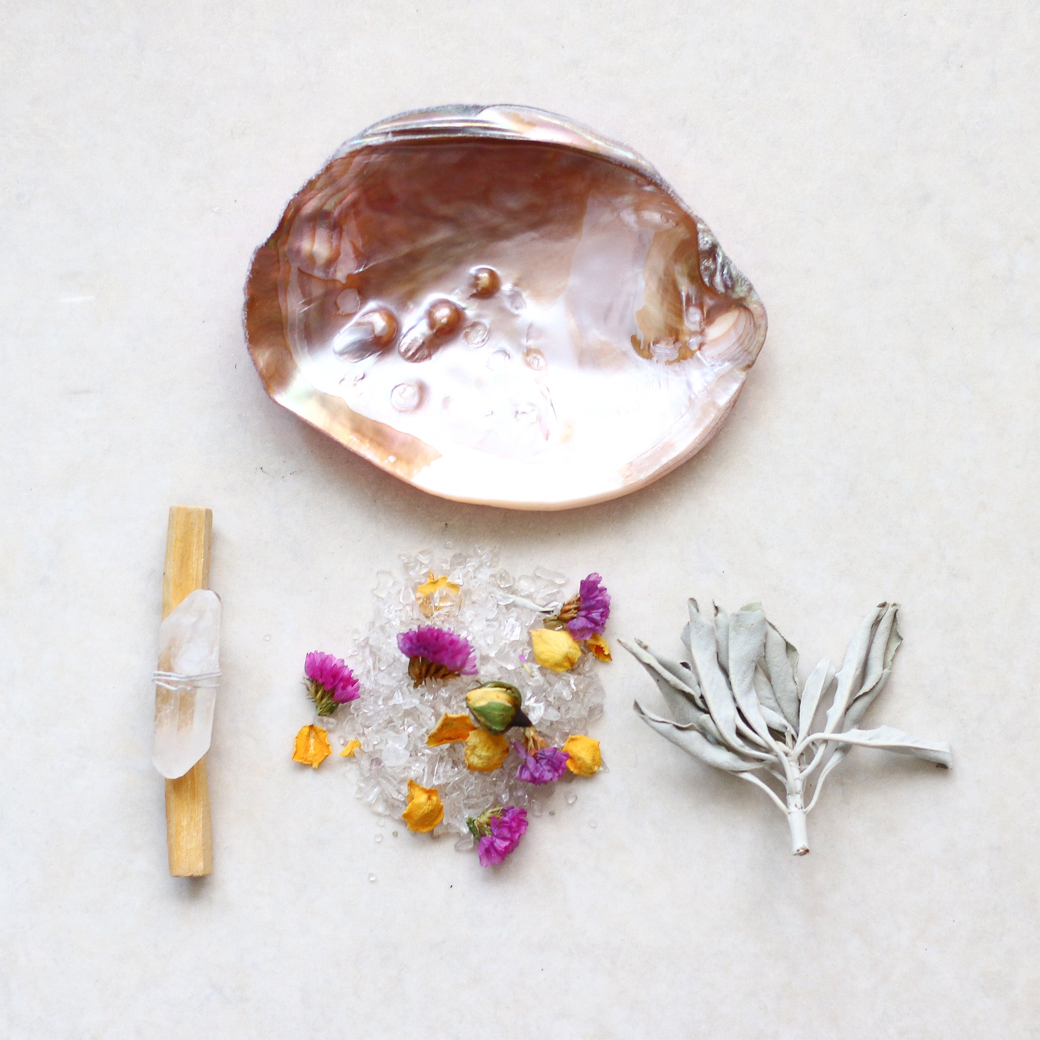 Deep Cleanse Aurora Pink Shell Plate set