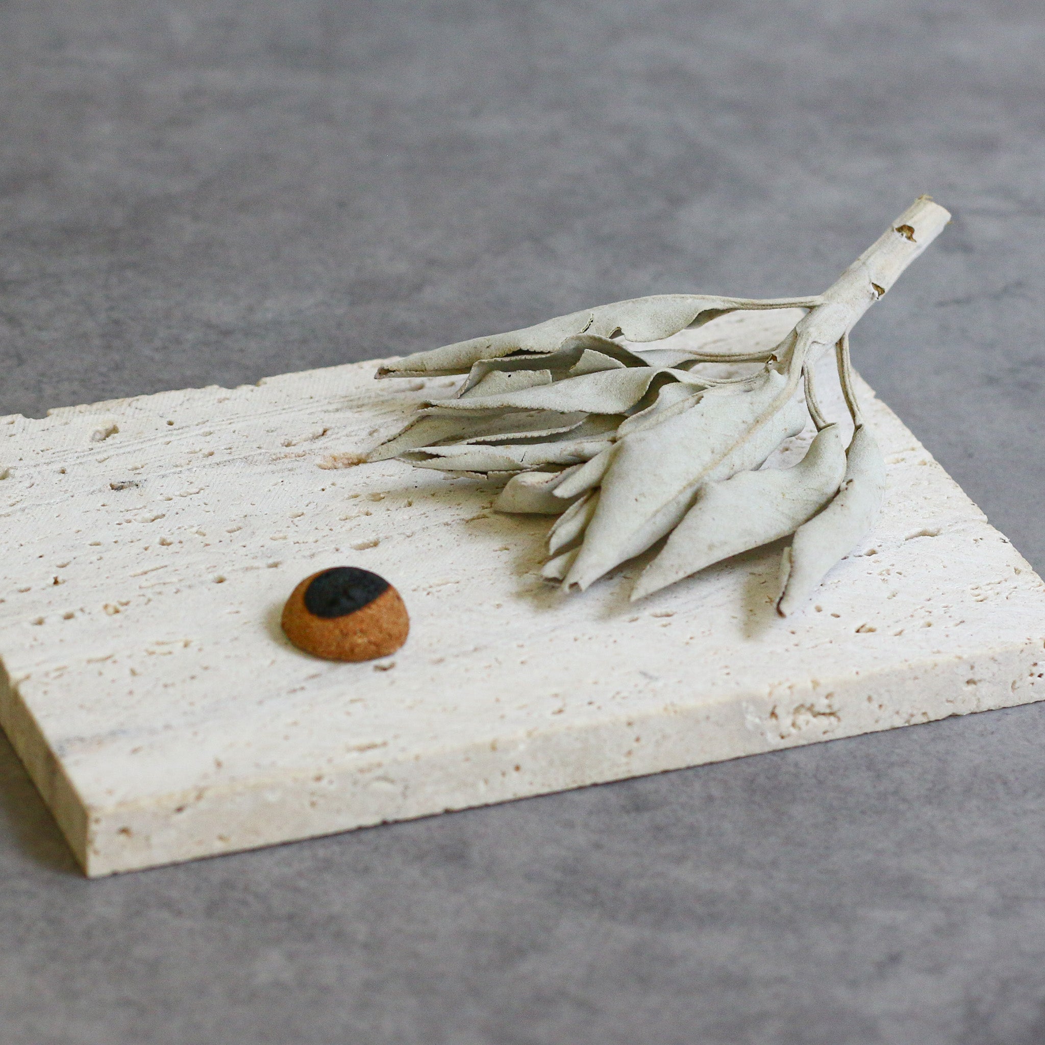 【公式オンライン限定】Deep Cleanse White Sage Incense Drop