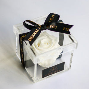 Crystal rose Box Classic petal ＜white＞.