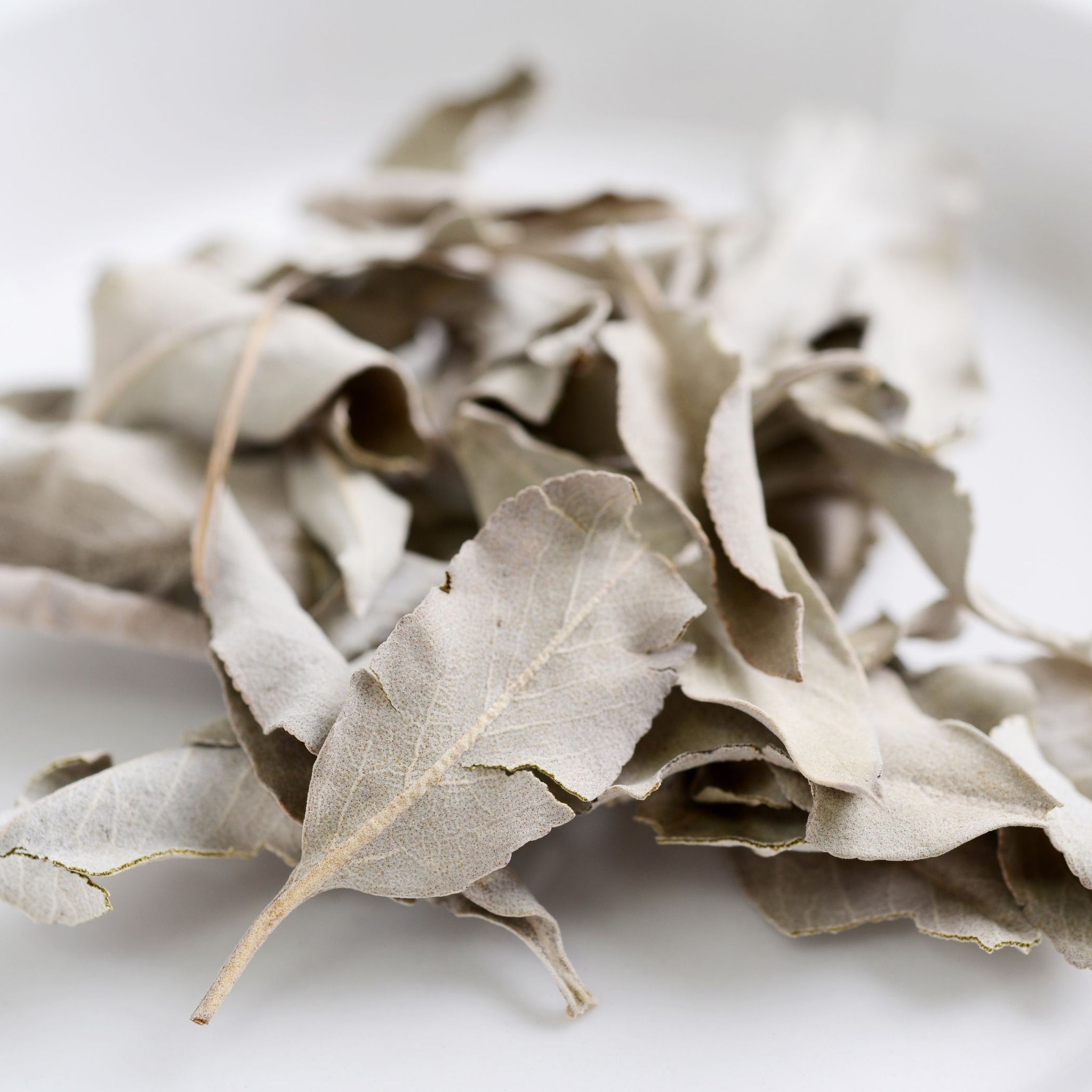 Deep Cleanse White Sage Bottle