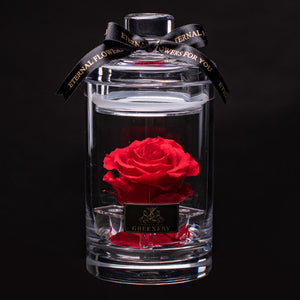 Crystal rose Box Glorious petal