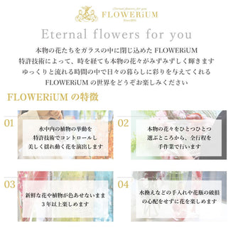 ＜花言葉と花の色から選ぶオーダーメイド＞ ガラスの靴.