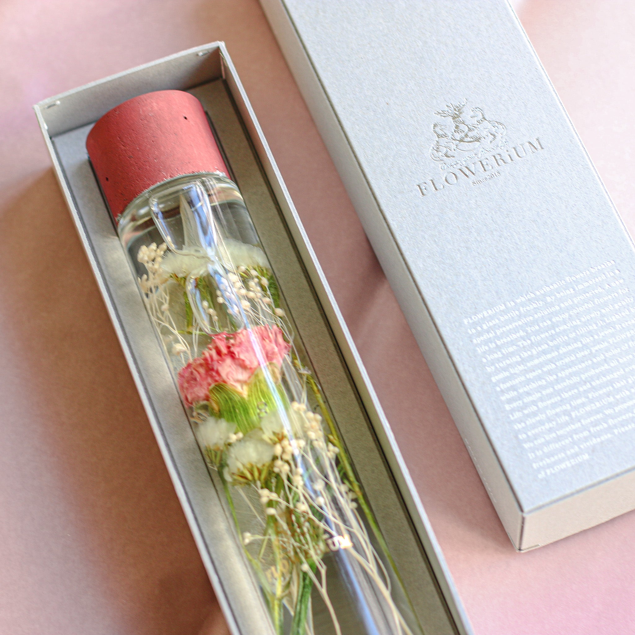 FLOWERiUM®︎ Carnation Birth | ギフト インテリア雑貨 FLOWERiUM ...